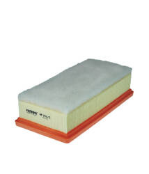 Filtron AP 196/5 = C 24120