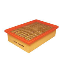 Filtron AP 091 = C 25100