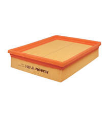 Filtron AP 098/1 = C 2498