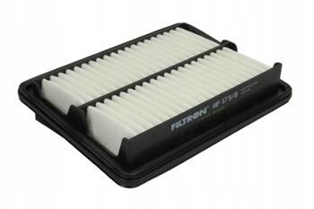 Filtron AP 173/8