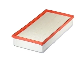 Filtron AP 005/1 = C 39 002