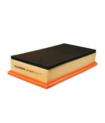 Filtron AP 024/1=C 29 124