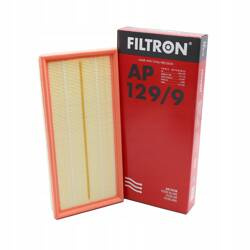 Filtron AP 129/9